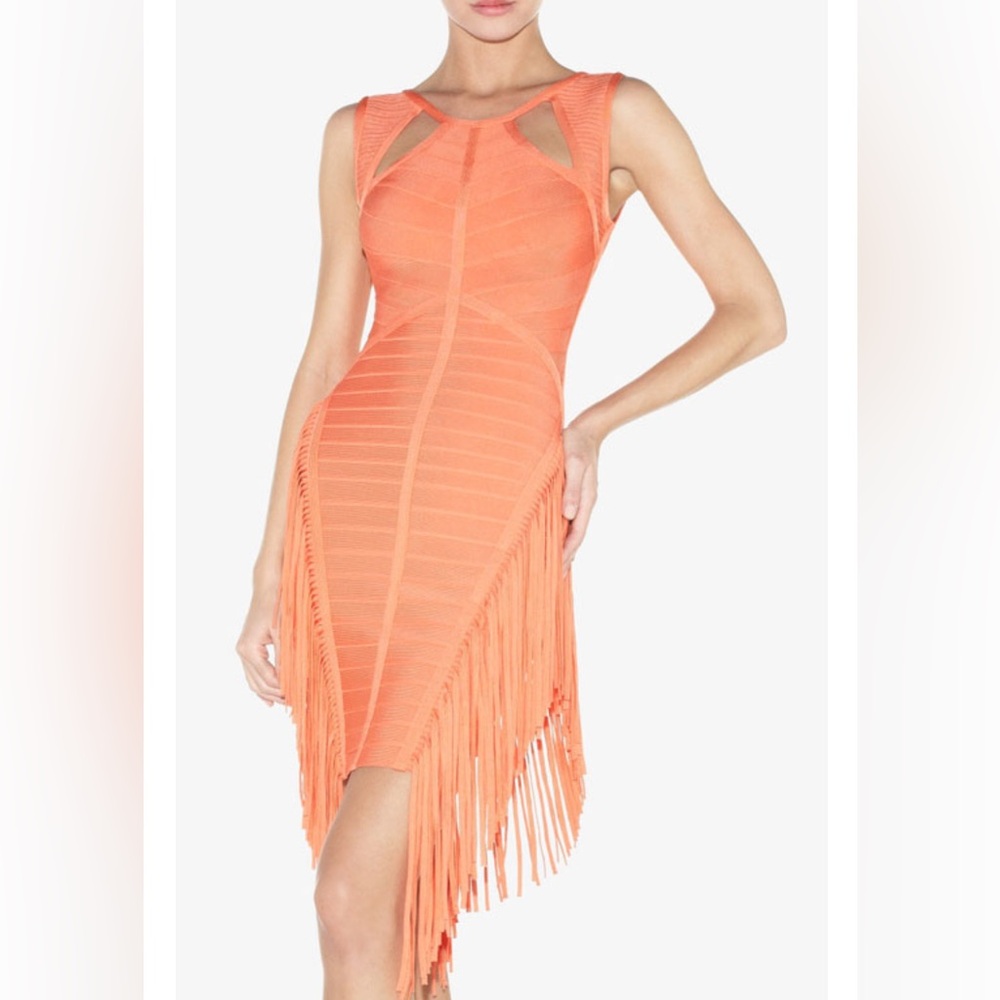 Herve Leger Fringe Dress